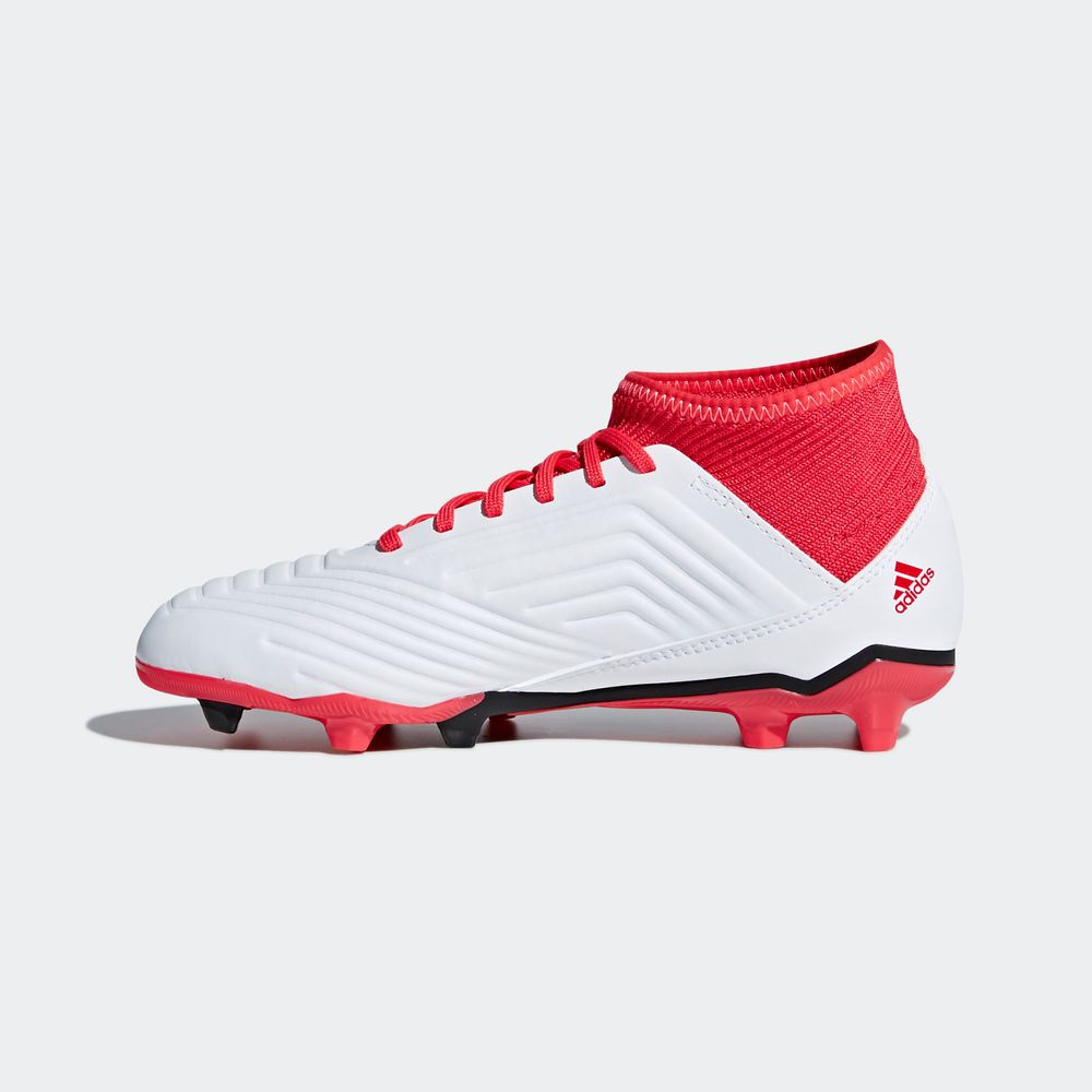 botines adidas predator